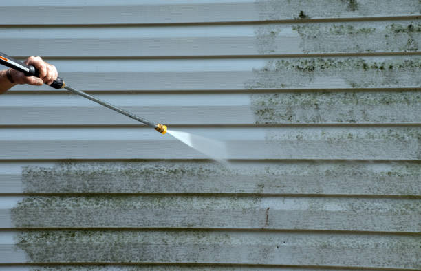 Best Patio and Deck Pressure Washing  in St Petersburg, FL